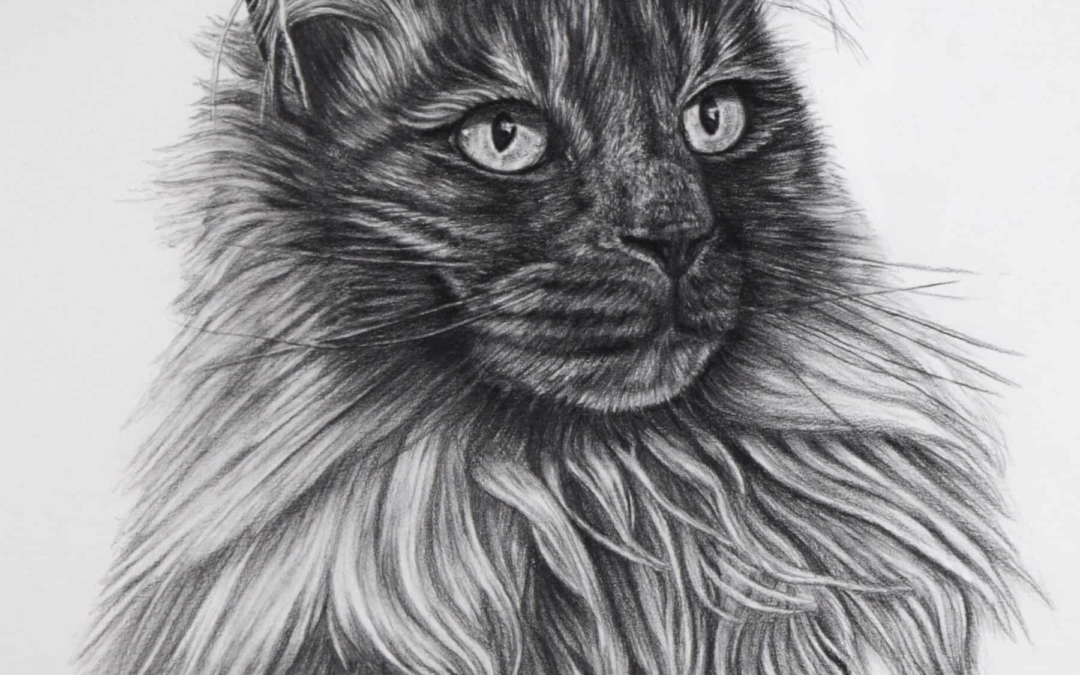 County Fayre Gallery – Art Trail 2023