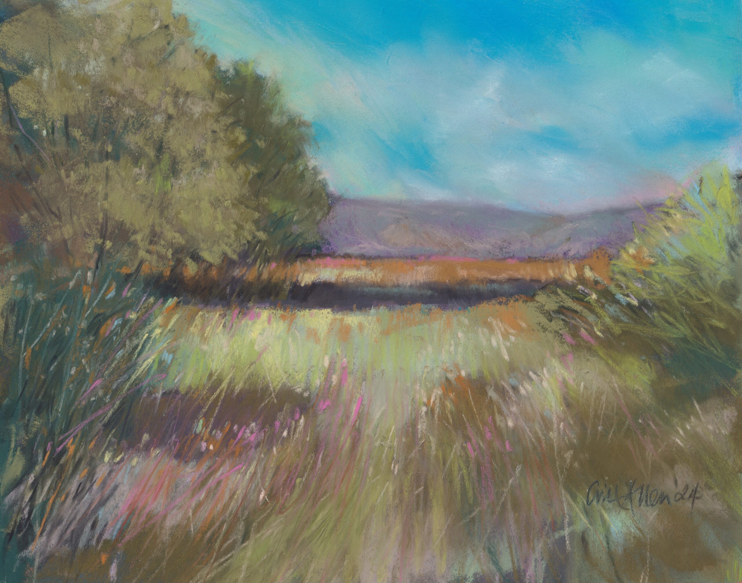 Gill Allen