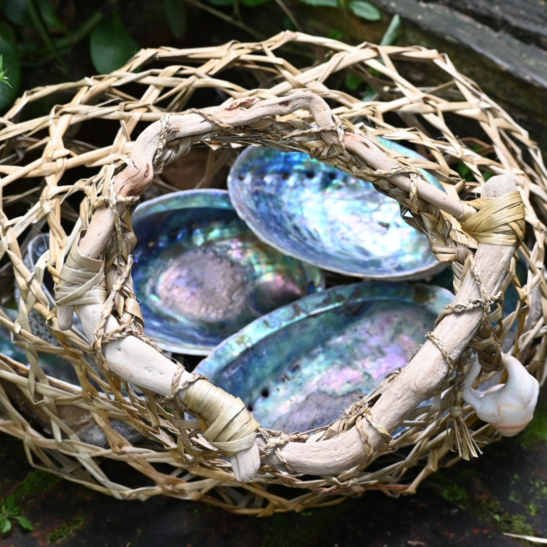 Untitled design - 2026-02-02T130946.367